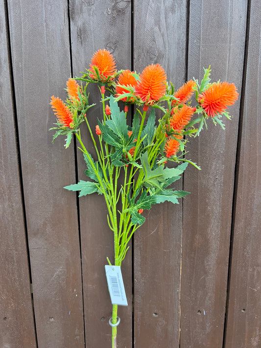 68cm SEA HOLLY ORANGE