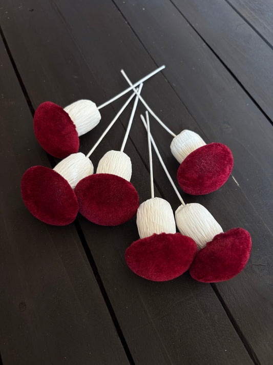PACK 6 MUSHROOM PICK BURGUNDY