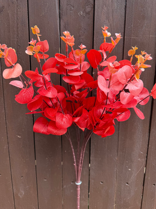 RED EUCALYPTUS BUNCH