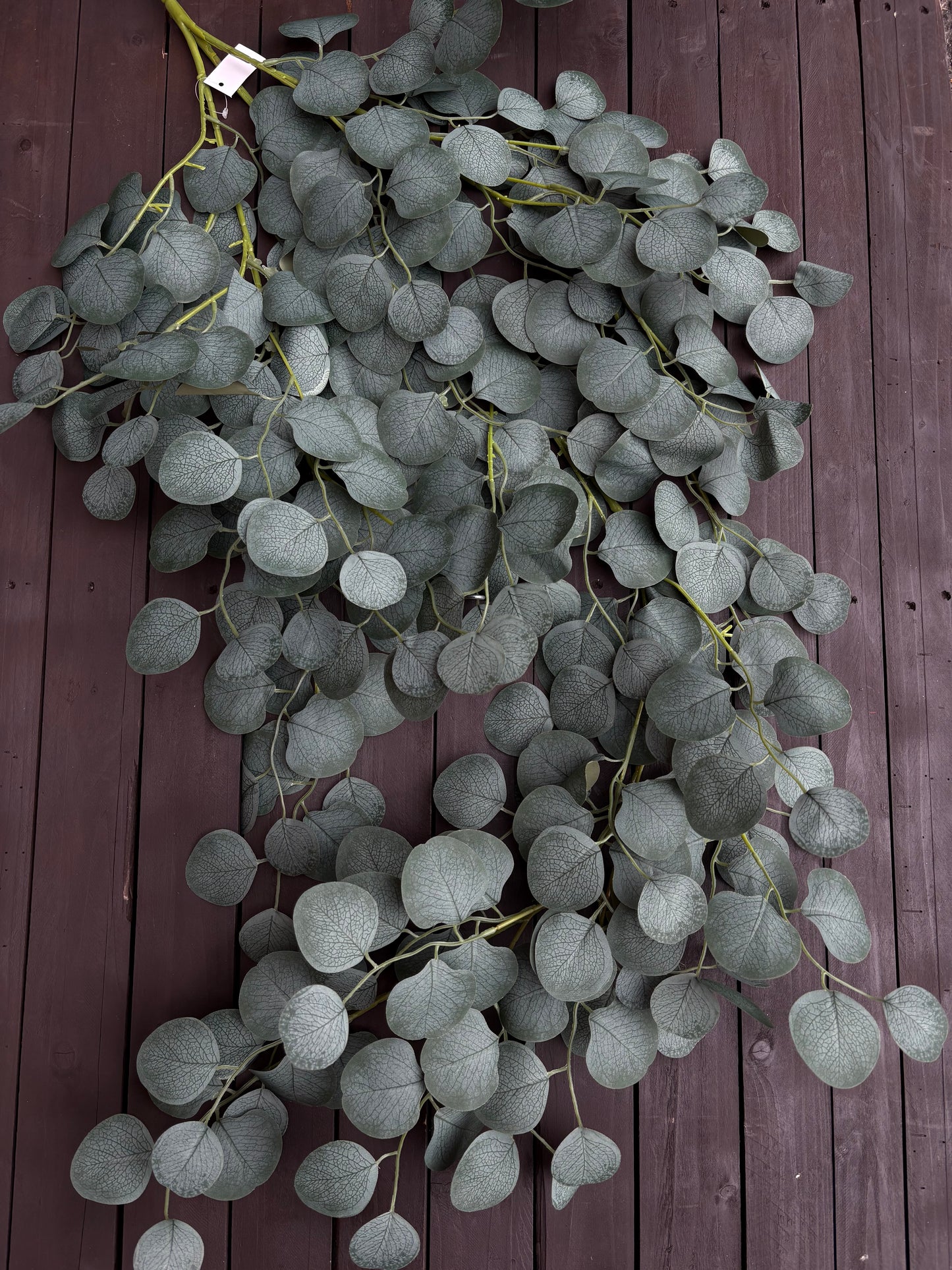 127cm LARGE TRAILING EUCALYPTUS GREY