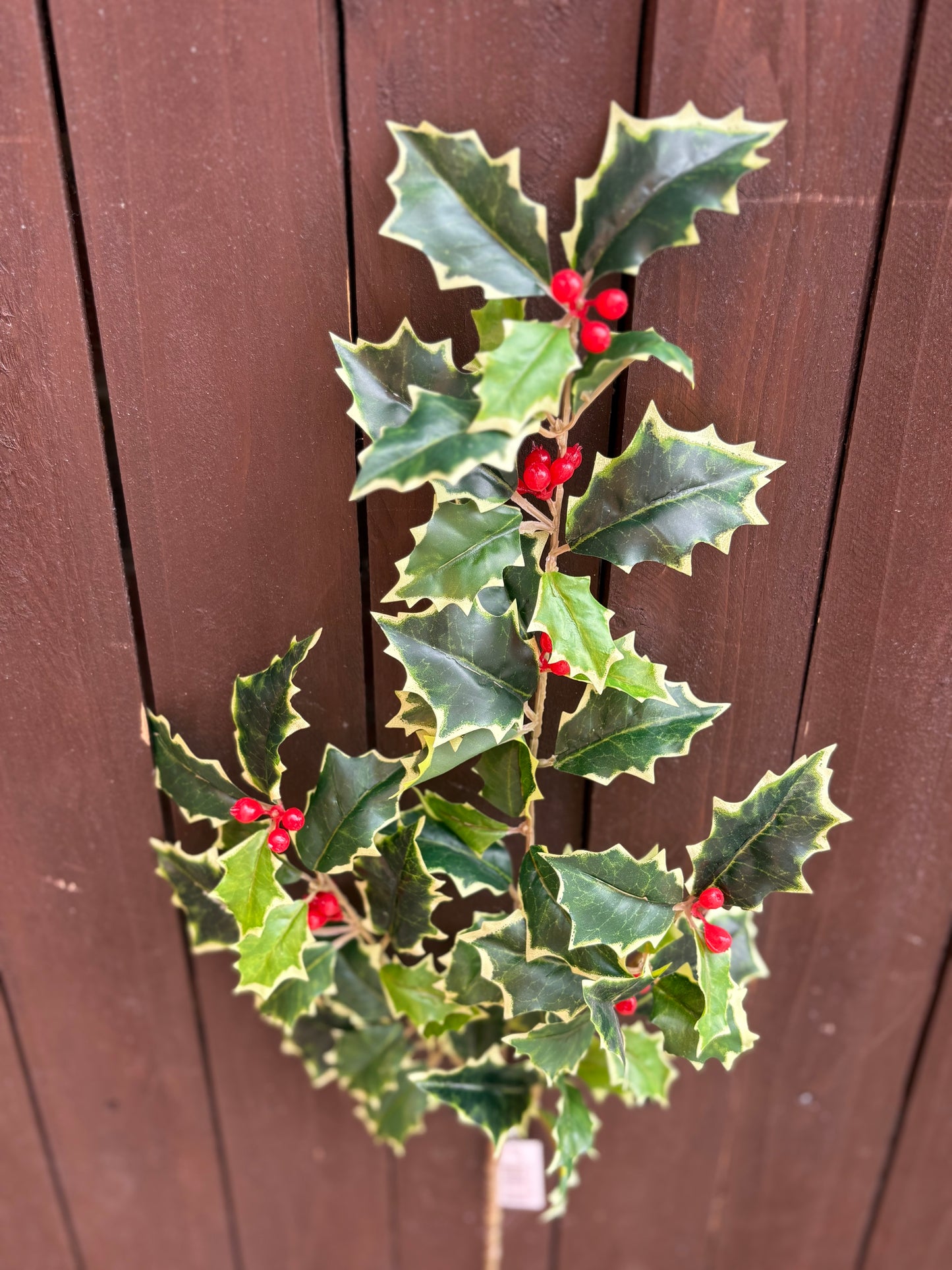 51cm HOLLY SPRAY WITH BERRIES VARIEGATED