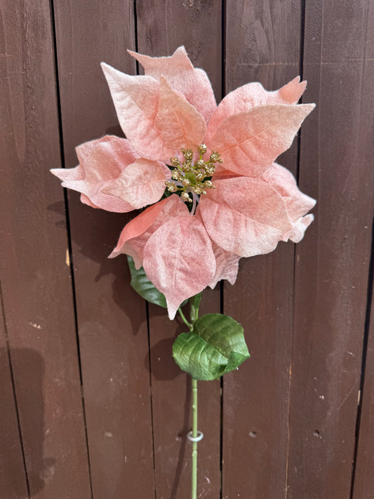 GLITTERED CENTRE VELVET POINSETTIA PINK/GOLD