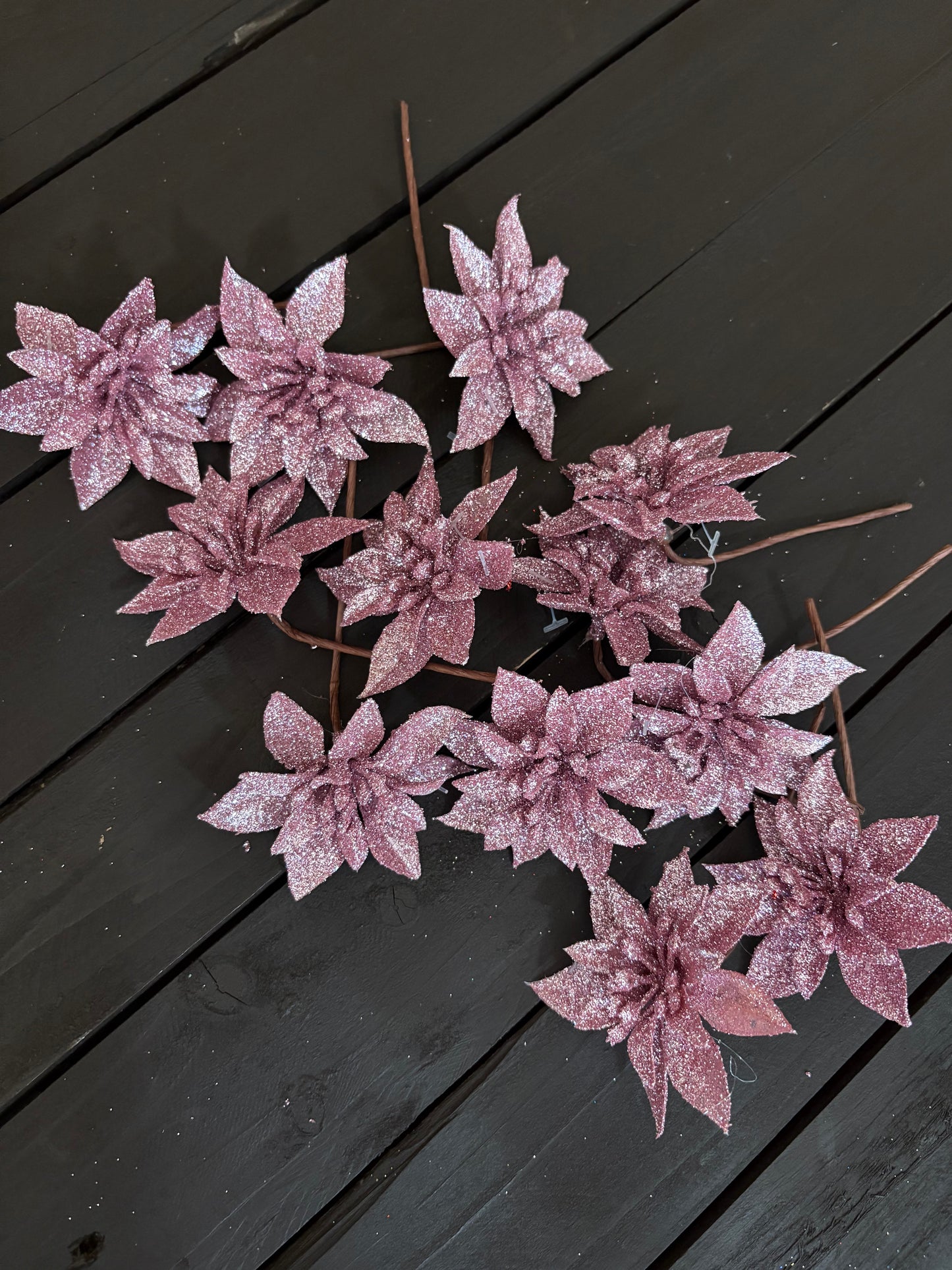 BAG 12cm SINGLE POINSETTIA x 12pcs PINK