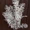 CHRISTMAS SINGLE STEMS
