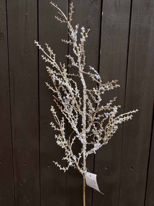 65cm SUPER FROST STEM GOLD