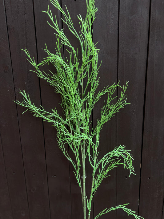 LARGE ASPARAGUS SPRAY LIGHT GREEN