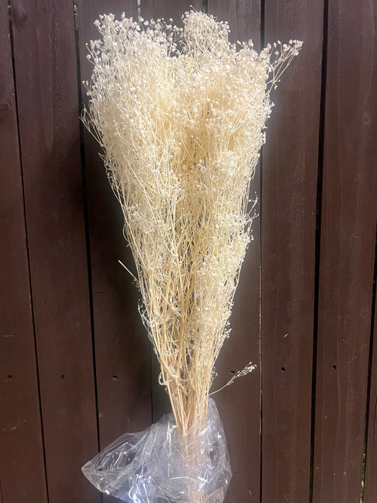 DRIED GYPSOPHILA BLEACHED