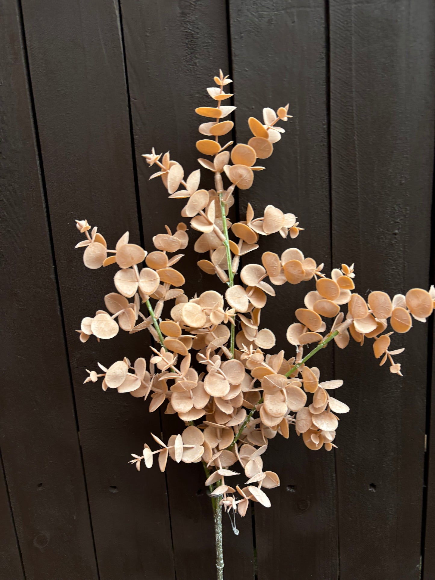 MINI WAX EUCALYPTUS SPRAY SAHARA