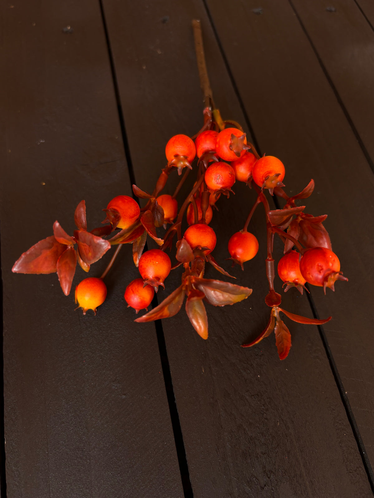 PACK 12 23cm LEAFY ROSEHIP ORANGE
