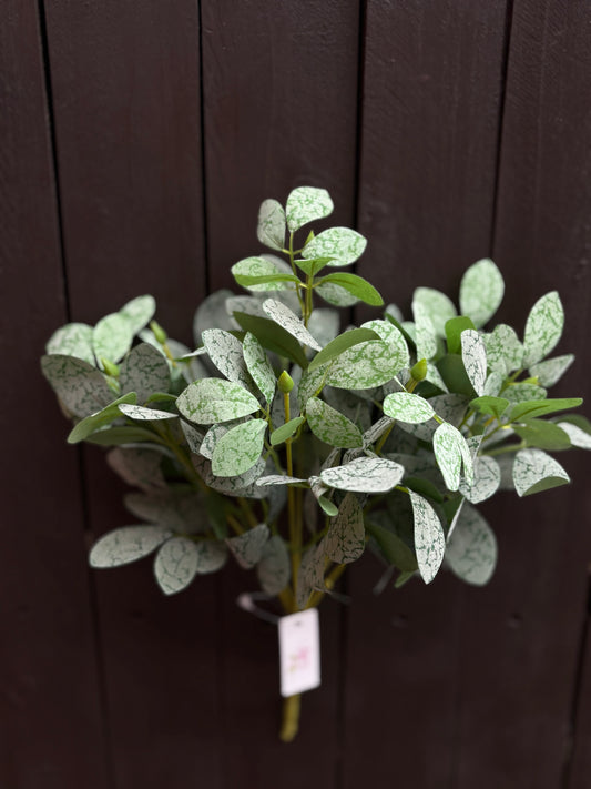 31cm EUONYMUS BUSH GREY/GREEN