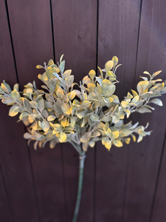SINGLE HEDGE SPRAY YELLOW/GREEN