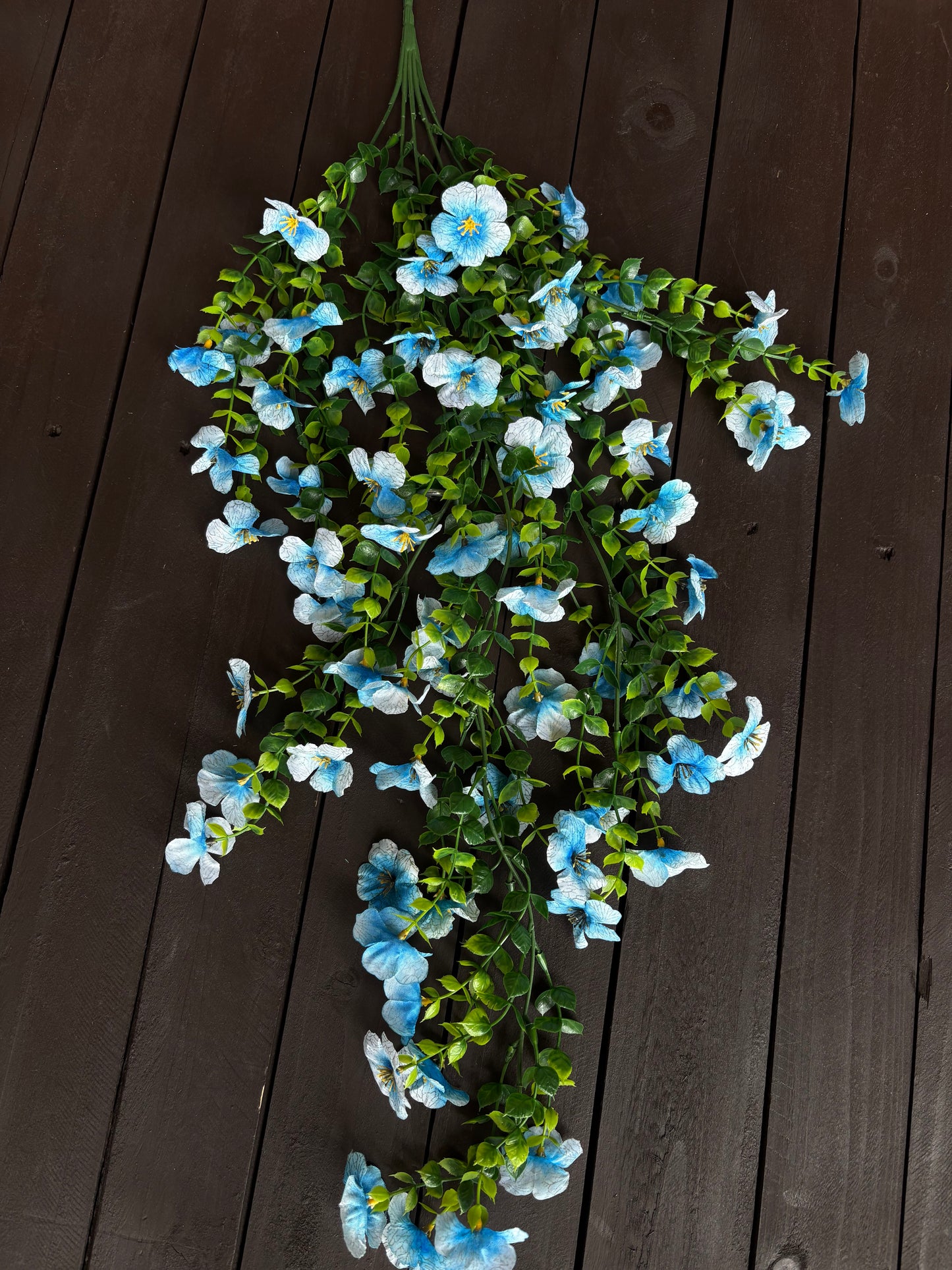 TRAILING PRETTY PANSY BLUE