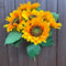 SUNFLOWERS