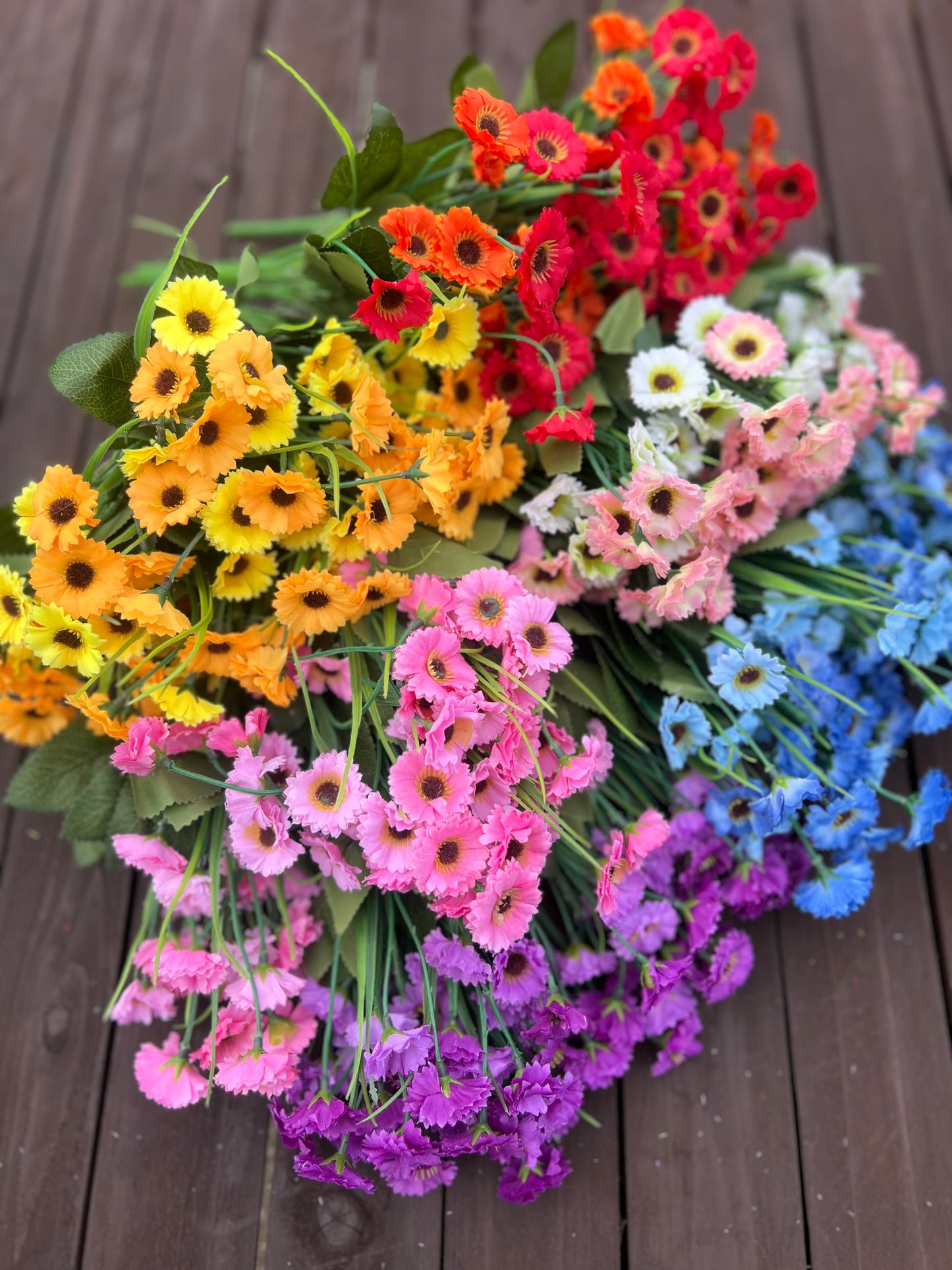 FULL BAG MIXED BABY GERBERA (24 MIXED BUNCHES)