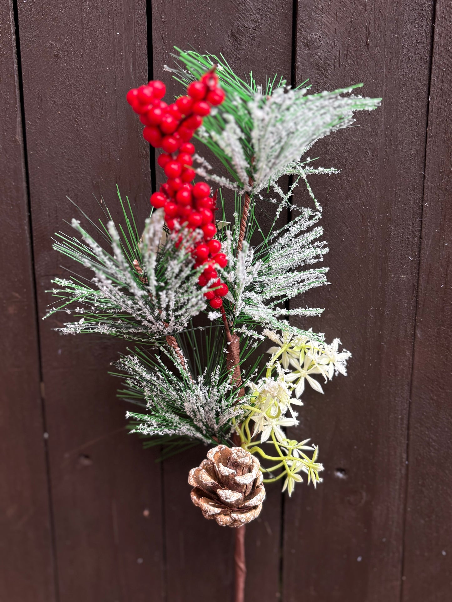 SNOWY NEEDLE PINE CLUSTER BERRY FOLIAGE