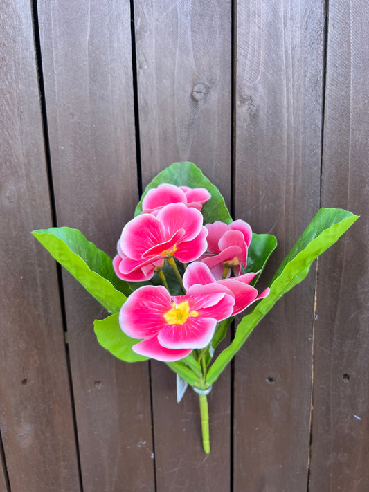 24cm UV RESISTANT PANSY BUSH FUSCHIA