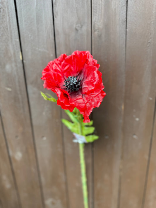 57cm SINGLE POPPY RED