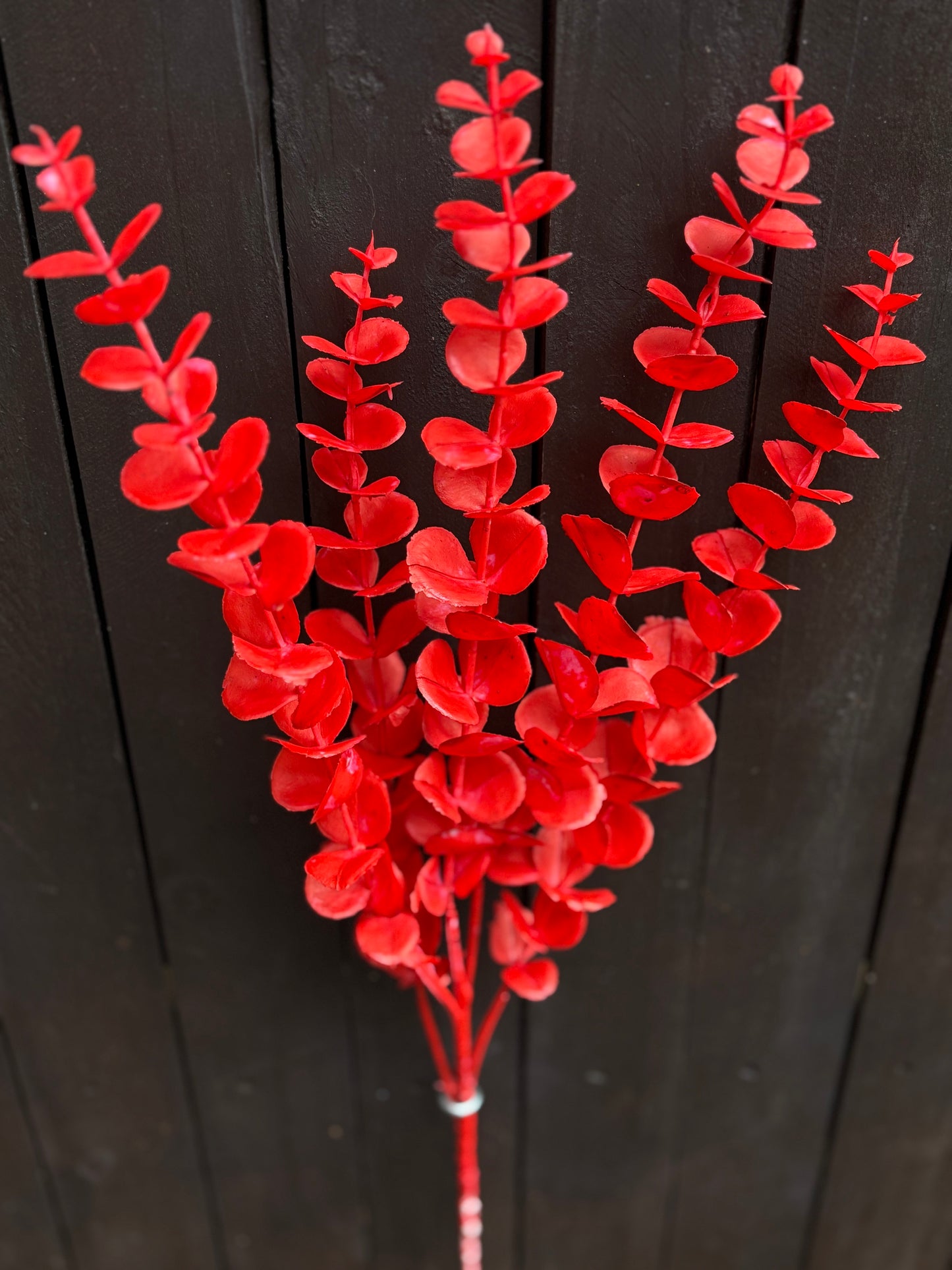 LONG STEM EUCALYPTUS RED