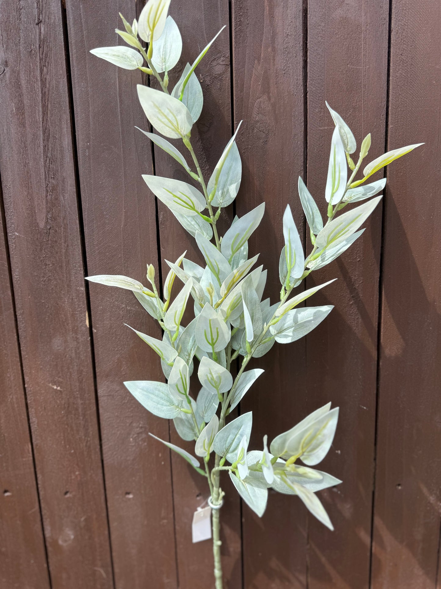 HONEY SUCKLE LEAF SPRAY PALE GREEN