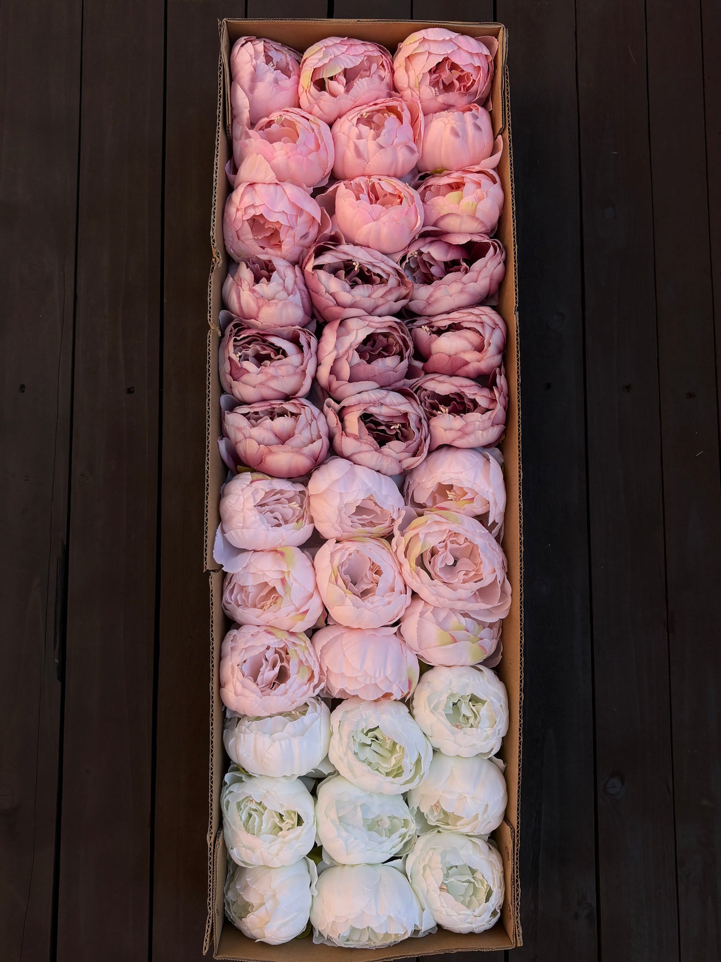 FULL BOX 9cm SINGLE PEONY FLOWER HEAD MIXED COLOURS x36pcs