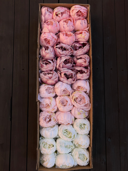 FULL BOX 9cm SINGLE PEONY FLOWER HEAD MIXED COLOURS x36pcs