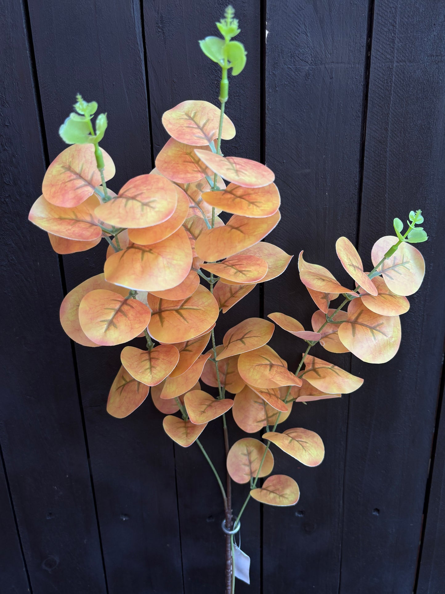 85cm EUCALYPTUS SPRAY YELLOW / ORANGE
