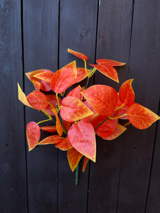 30cm POTHOS BUNCH ORANGE