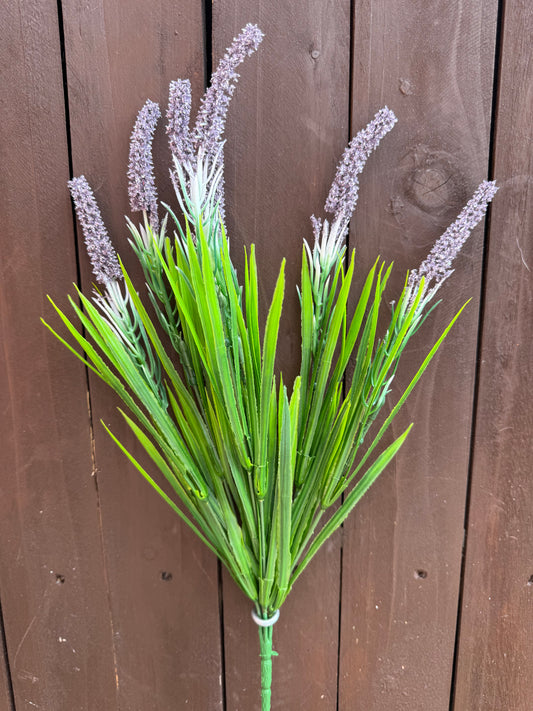SEEDED LAVENDER WITH GRASS PURPLE