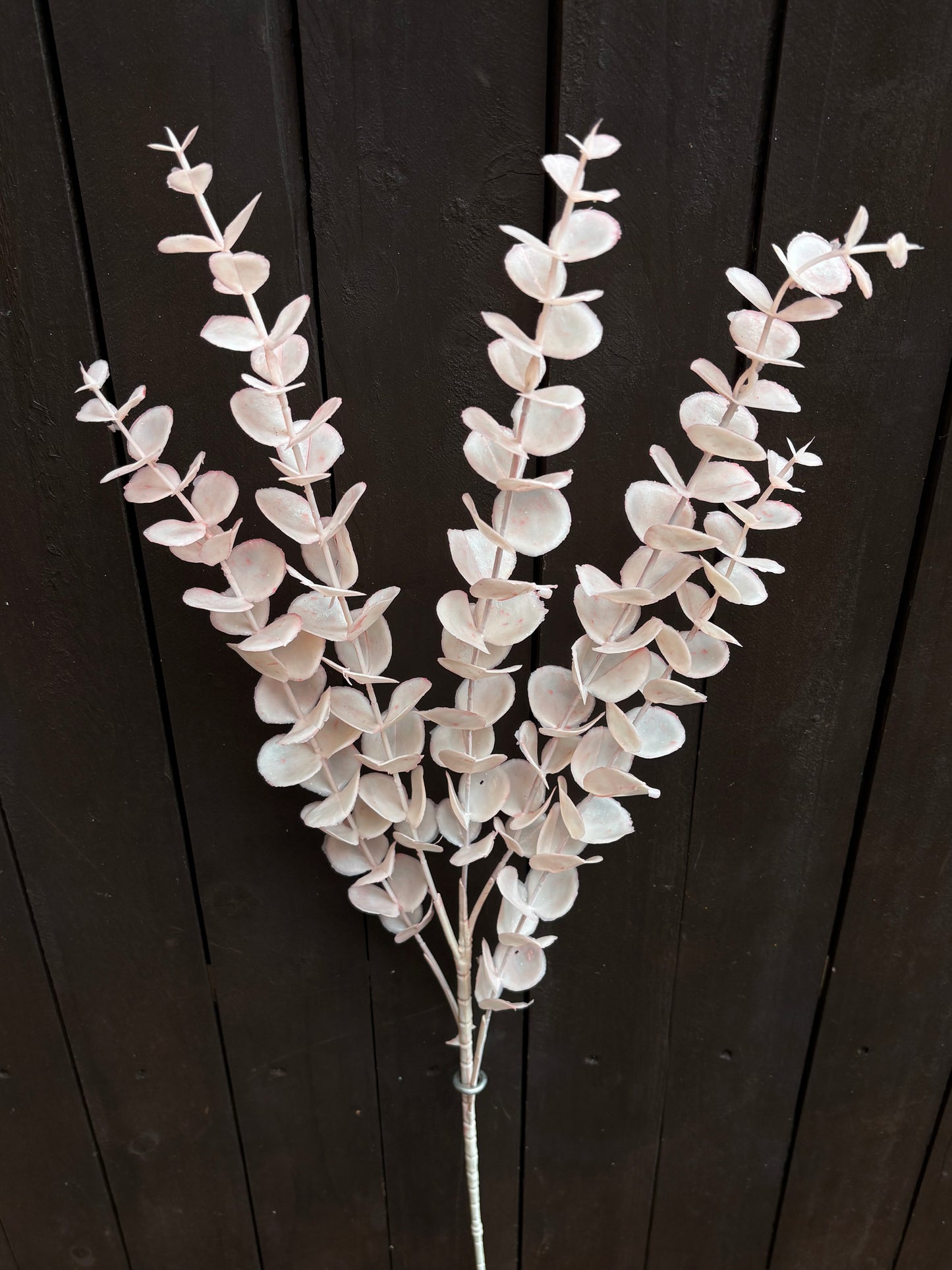 LONG STEM EUCALYPTUS BABY PINK