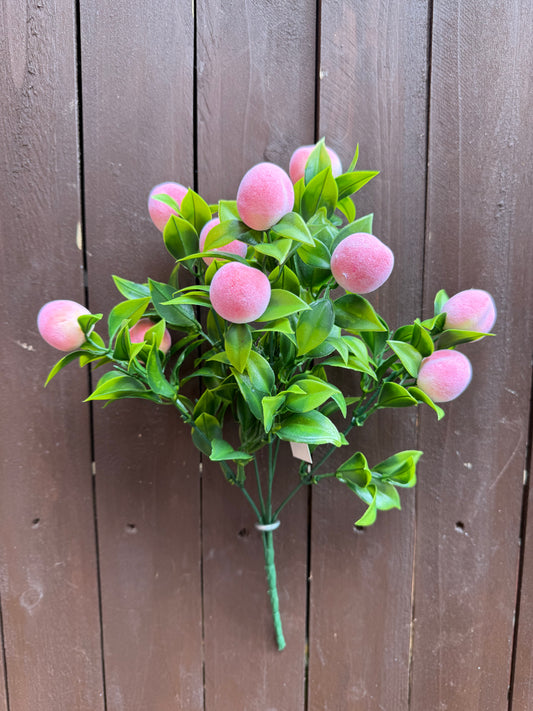 PEACH FRUIT FOLIAGE BUNCH