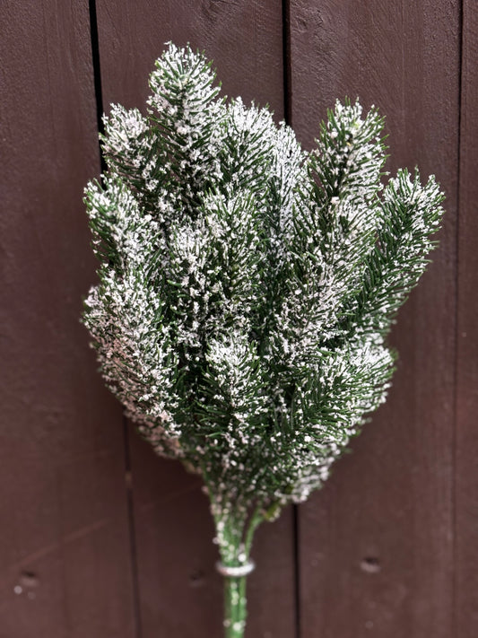 SNOWY SPRUCE BUNCH