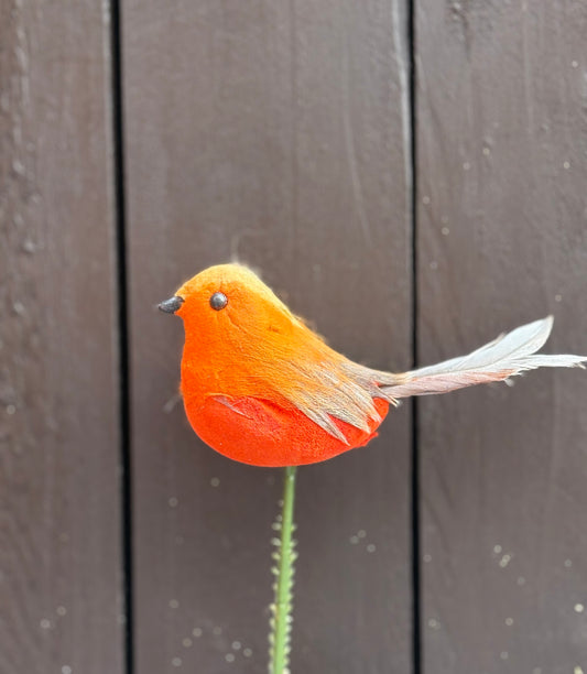 ROBIN PICK