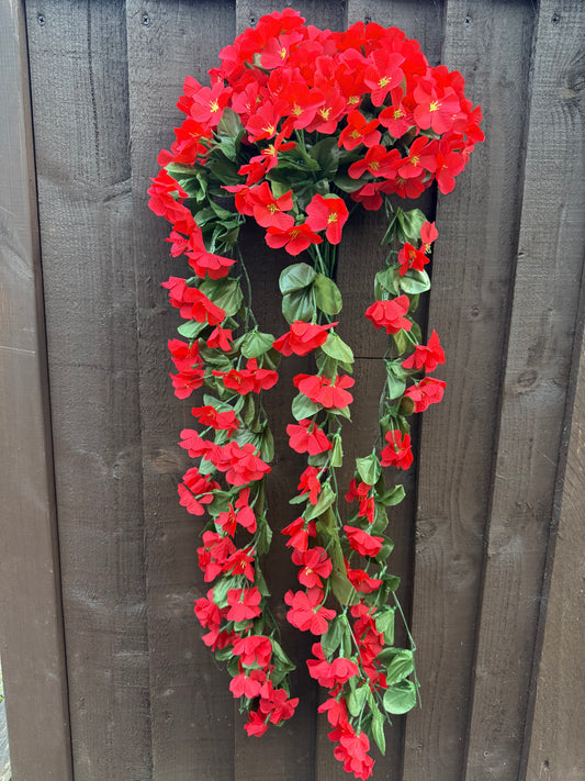 TRAILING BLOSSOM RED