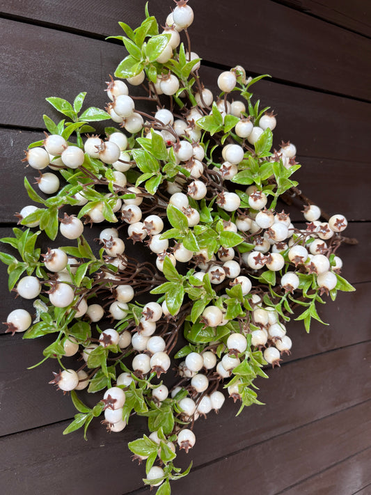 PACK 12 23cm LEAFY ROSEHIP IVORY