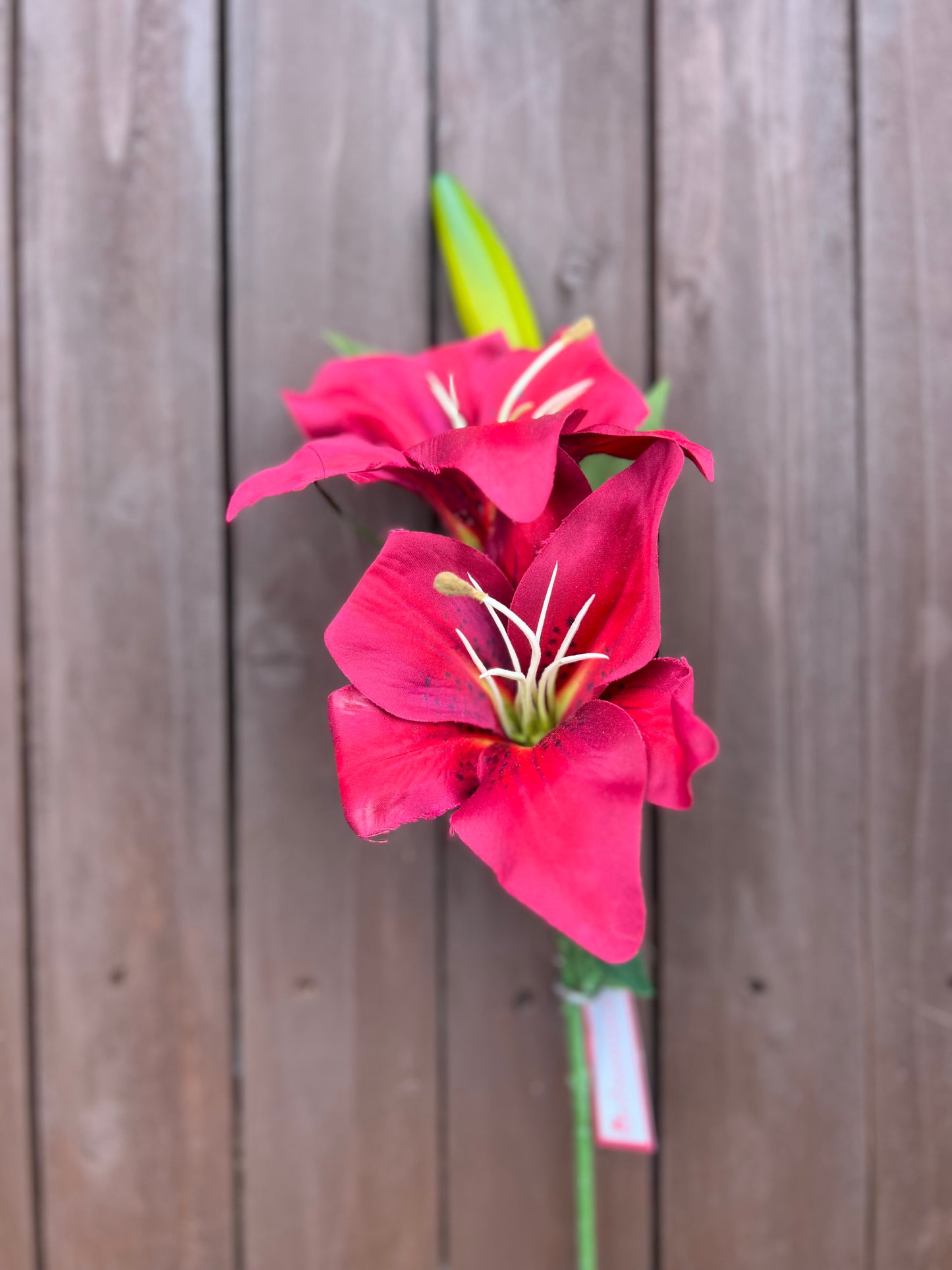 66cm CHLOE LILY SPRAY BEAUTY