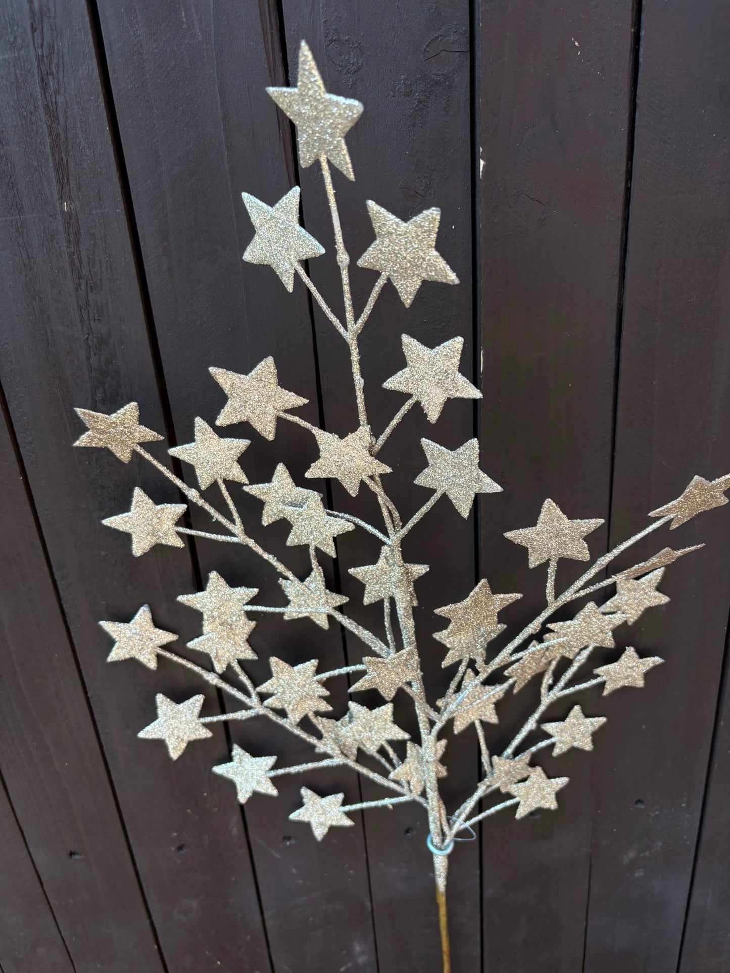 LONG GLITTER STAR SPRAY CHAMPAGNE