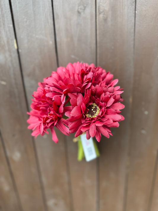 23cm GERBERA BUNDLE (6 STEMS) BURGUNDY