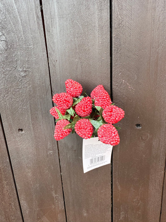 WIRED RASPBERRIES RED