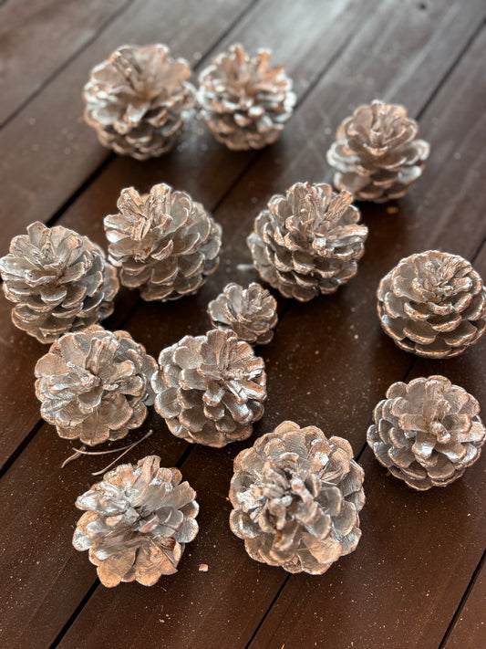 BAG PINE CONES SILVER (250g)