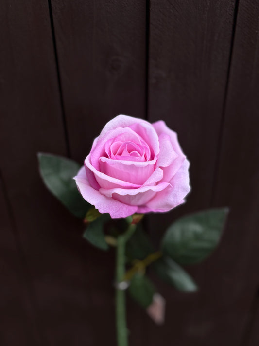 52CM SINGLE LARGE VELVET TOUCH OPEN ROSE BRIGHT LILAC