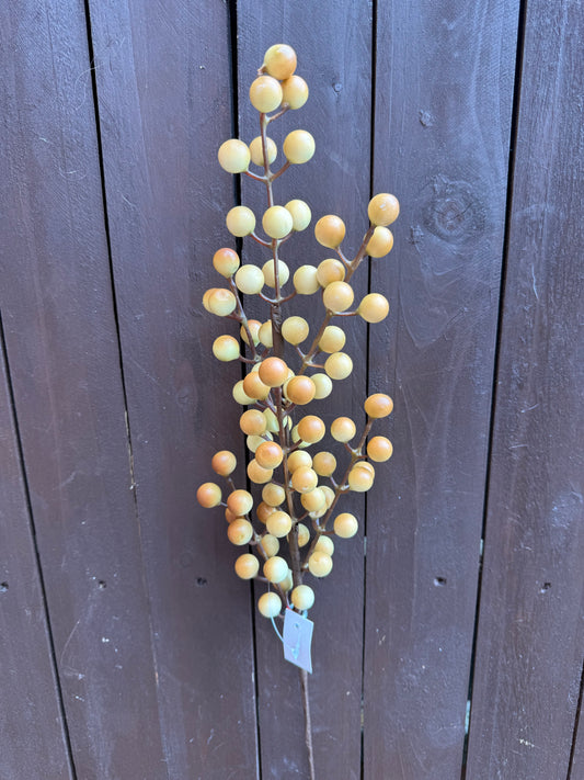 SEASONAL BERRY PICK COFFEE