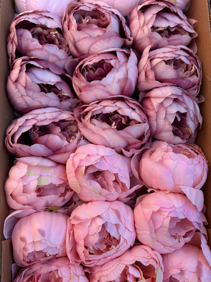 FULL BOX 9cm SINGLE PEONY FLOWER HEAD MIXED COLOURS x36pcs