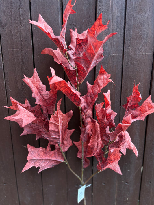 DRIED TOUCH LEAF BRANCH RED