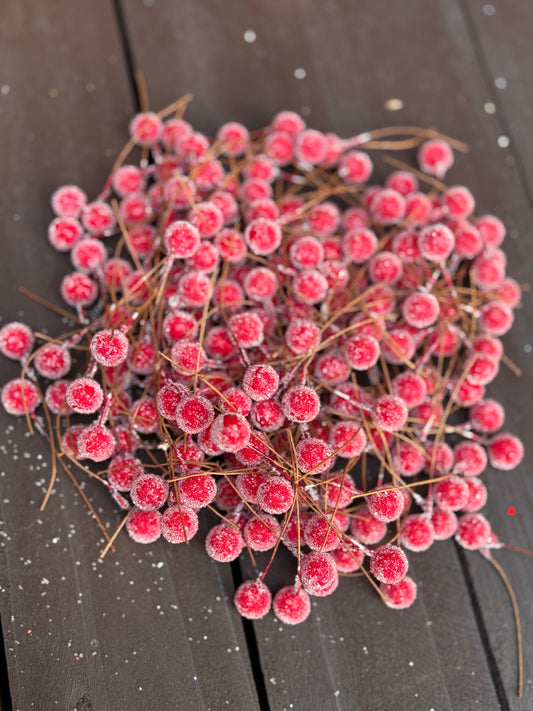 11mm FROSTED RED BERRIES BAG x 192pcs