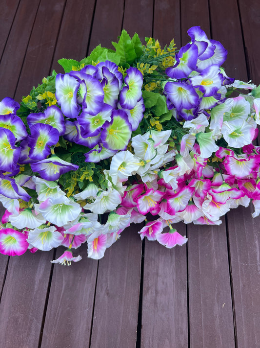 MINI MORNING GLORY BUNDLE (12 MIXED COLOUR BUNCHES)