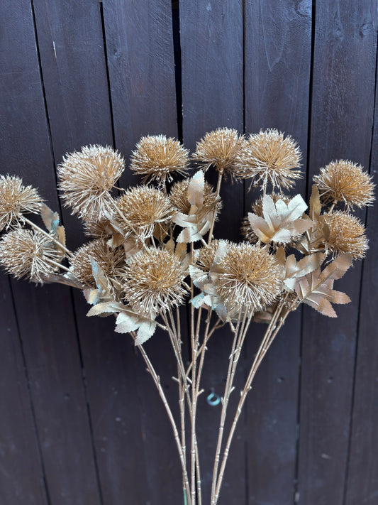 GOLD FIREBALL STEMS PK6