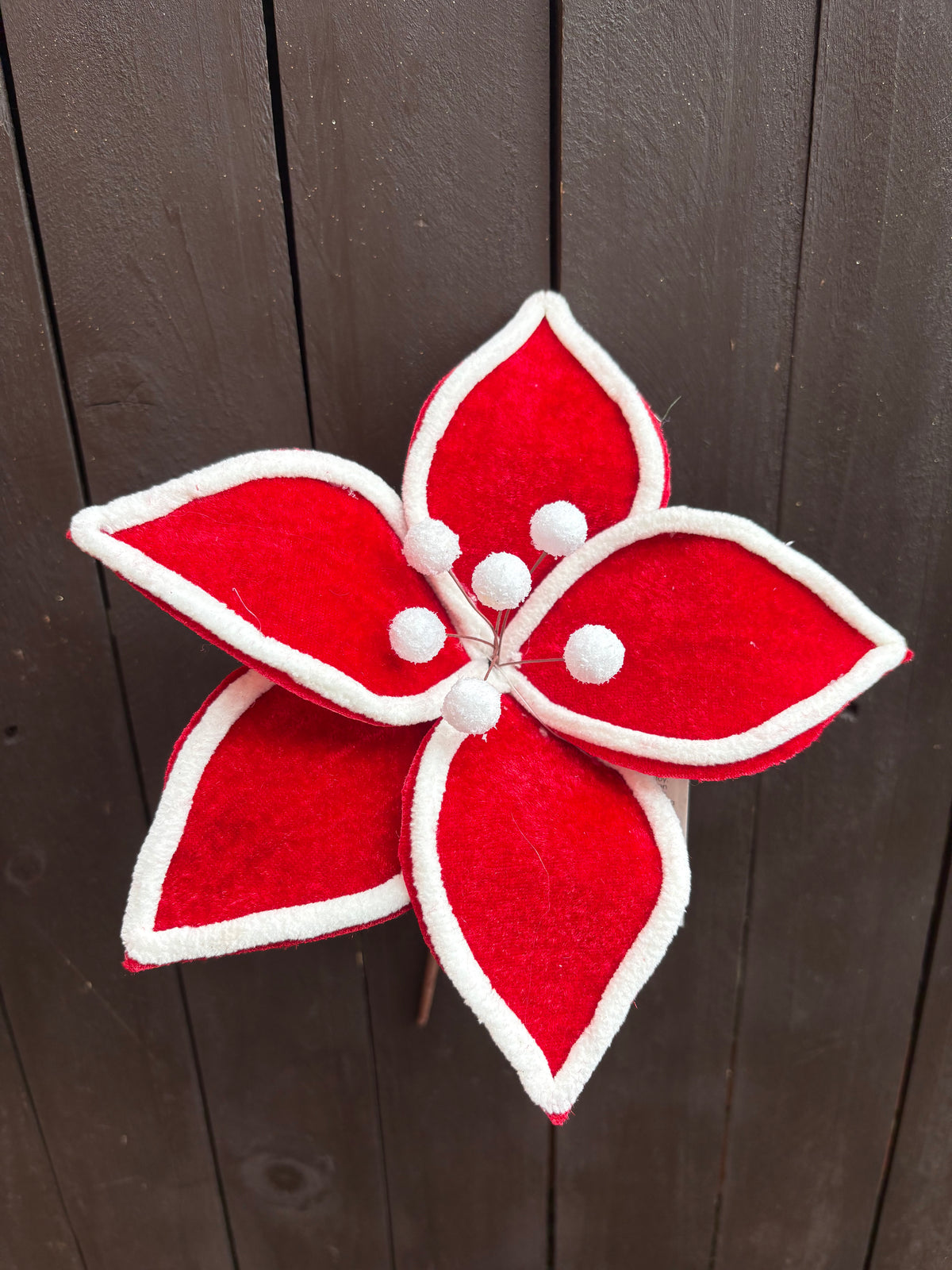22cm VELVET POINSETTIA CANDY