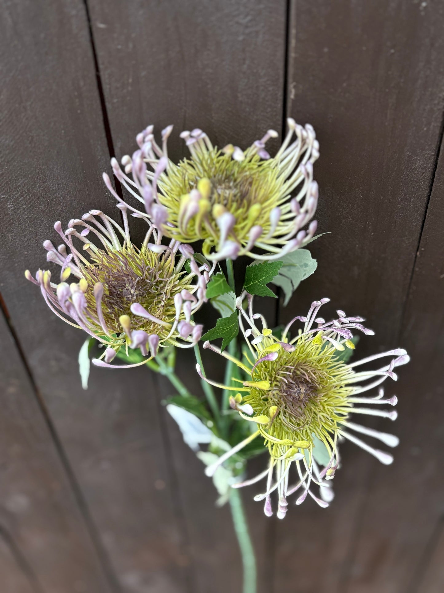 PROTEA SPRAY MAUVE/GREEN