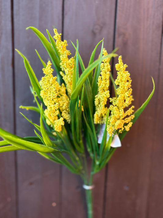 SEEDED ASTILBE GRASS YELLOW