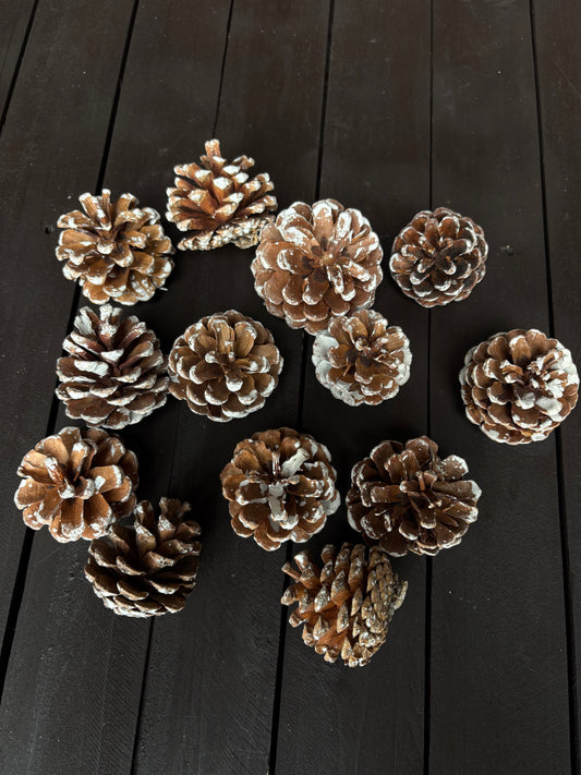 BAG PINE CONES SNOWY/NATURAL (250g)
